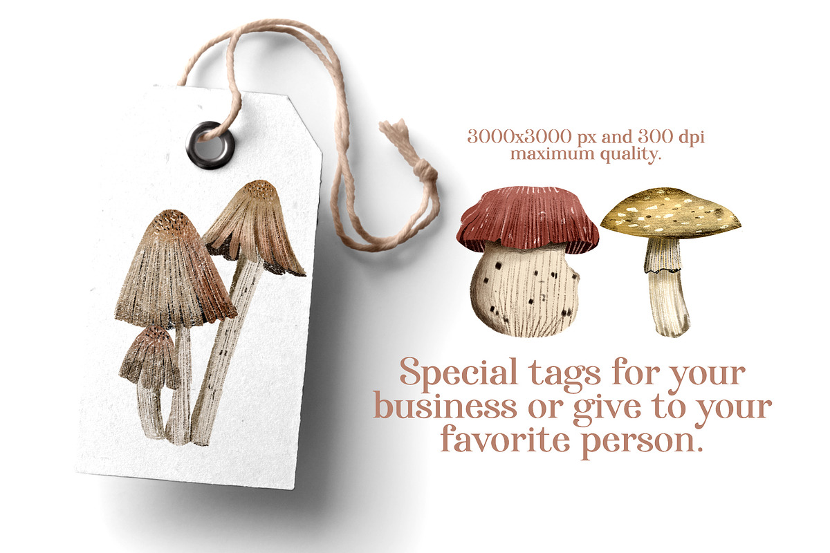mushrooms clip art hand drawing, a Food Illustration by Cocoa studio by Eliza M (Photo 4 of 4)