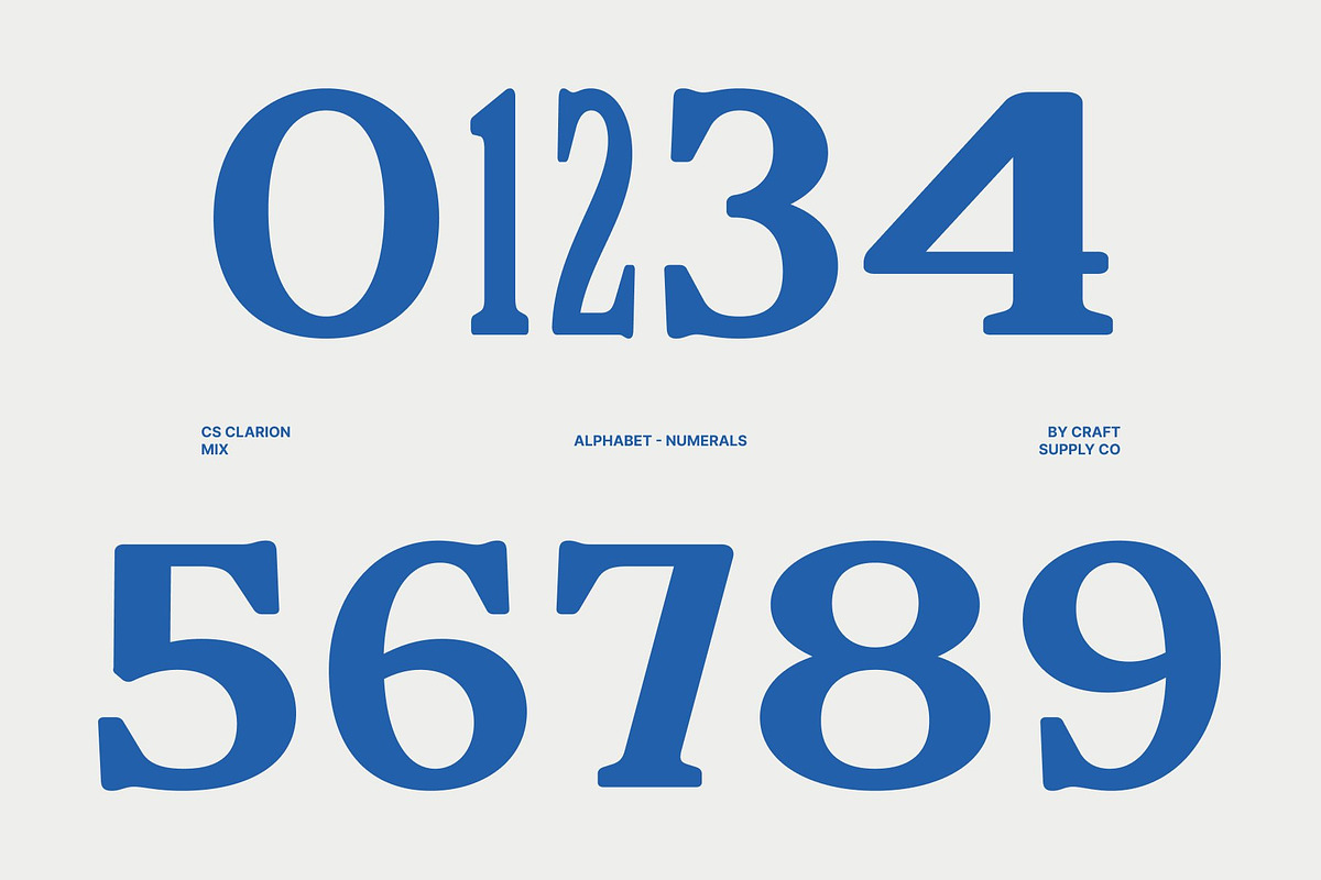 CS Clarion Mix, a Serif Font by Craft Supply Co. (Photo 5 of 8)