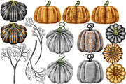 Halloween Botanicals Clipart set., a Seasonal Illustration by Happy Sloth Graphics (Thumbnail 6 of 16)