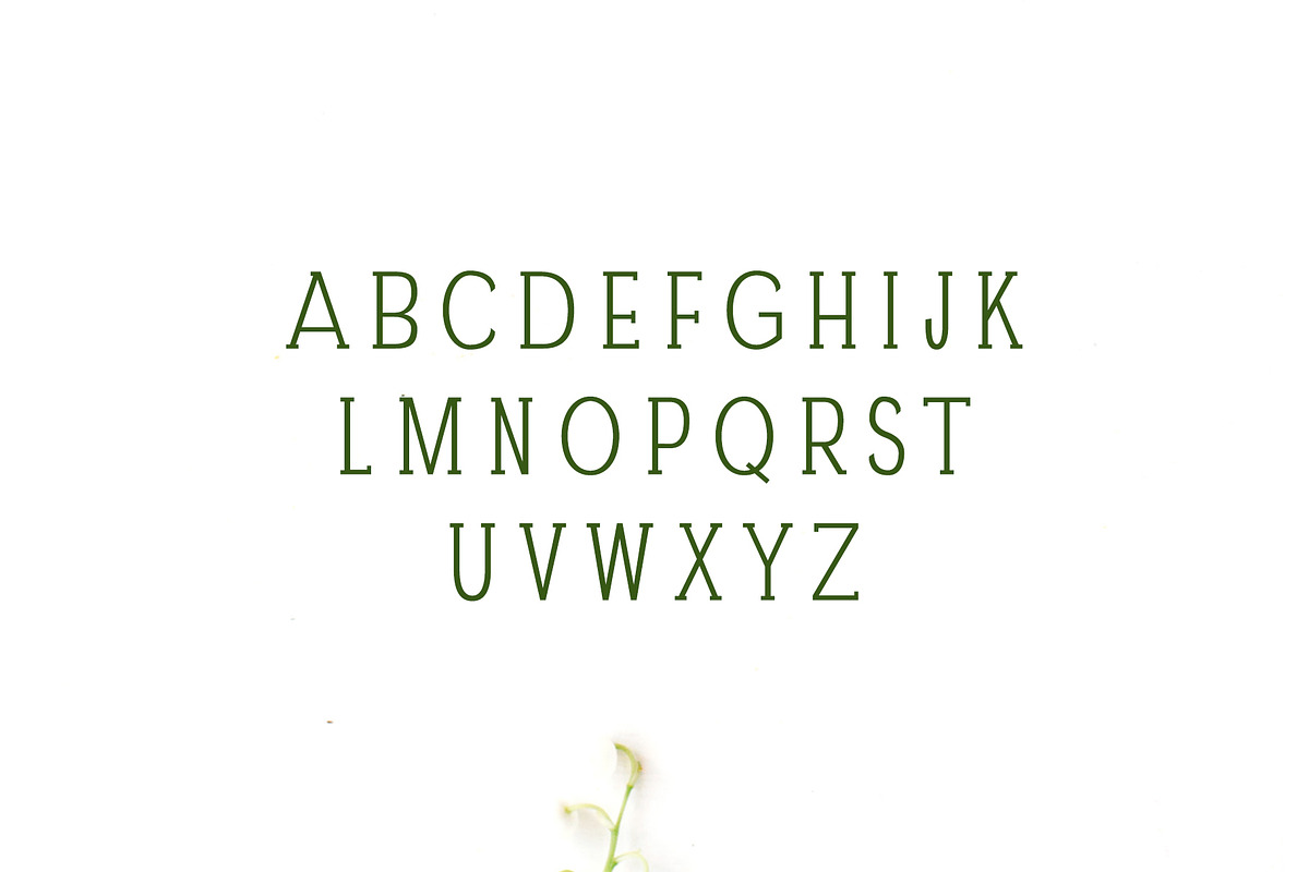 Darrion Slab Serif Font Family preview 2