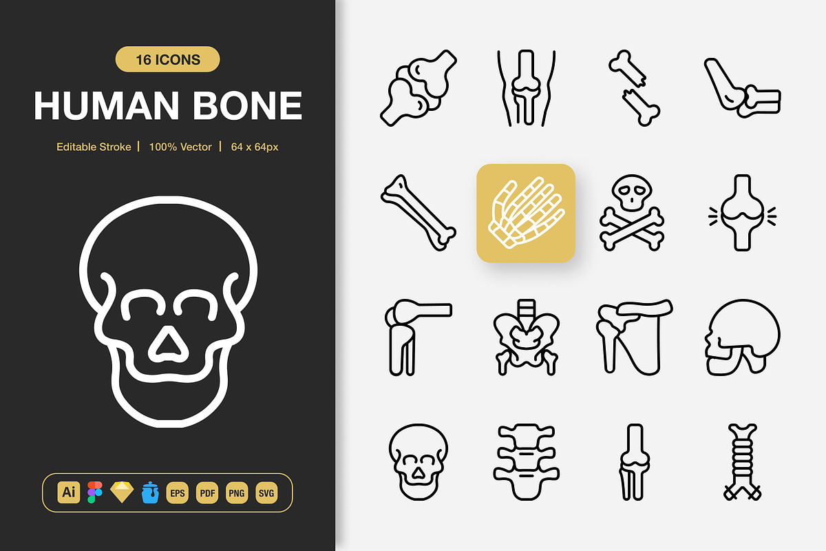 Human Bone Icons, an Outline Icon by Spacepixel Creative