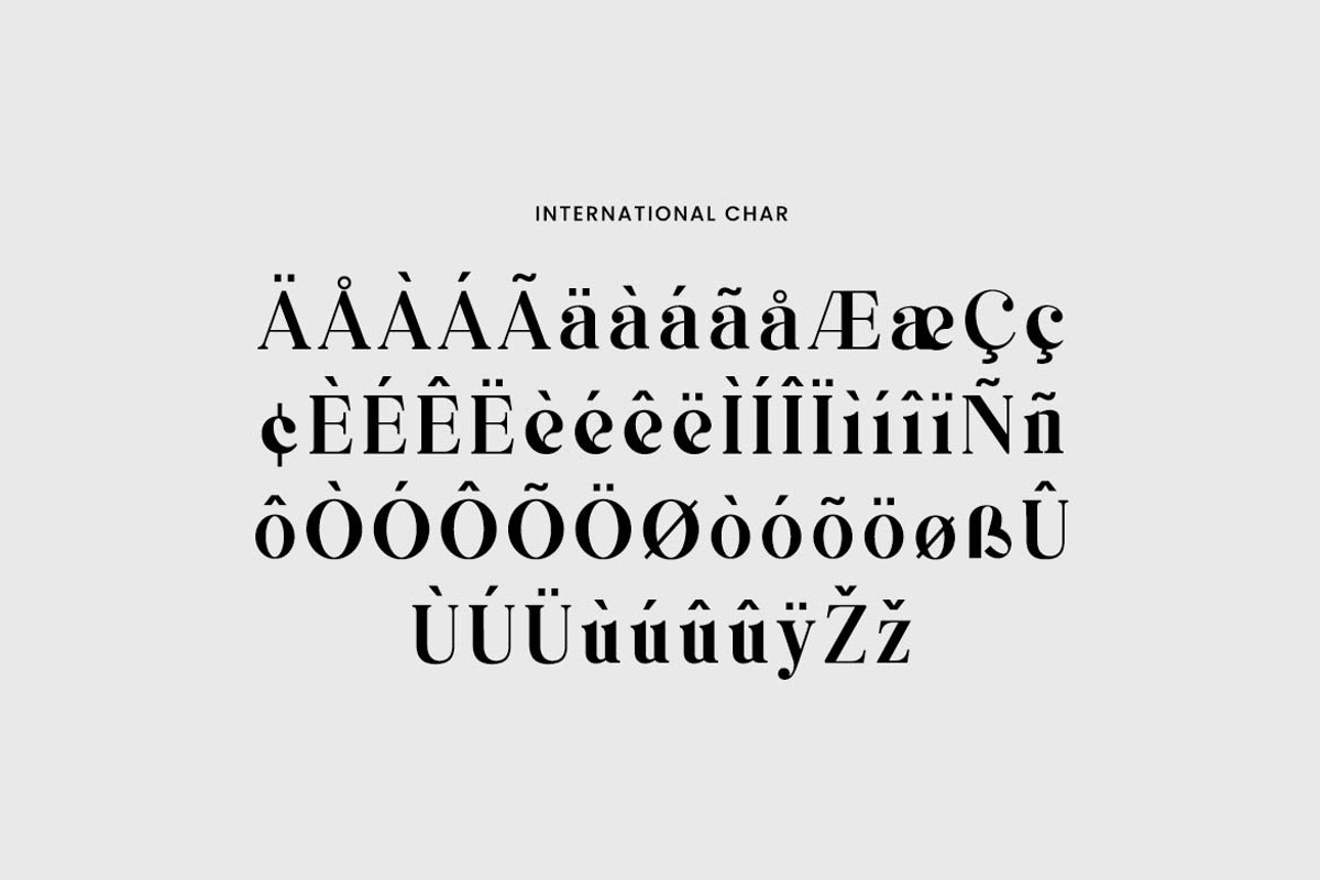 Stanbriged Classy Vintage Serif Font, a Serif Font by UICreative (Photo 8 of 13)