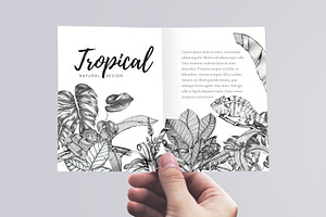 Tropical Plants & Animals Set