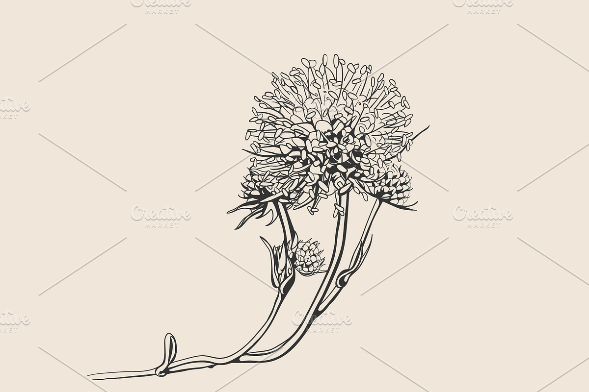 Floral Pattern & Flower Print, a Pattern Graphic by Plaid4You (Photo 8 of 12)