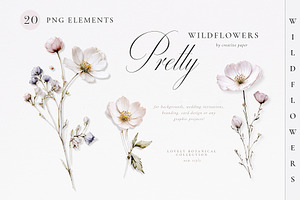 Pretty Wildflowers (Png) Elements