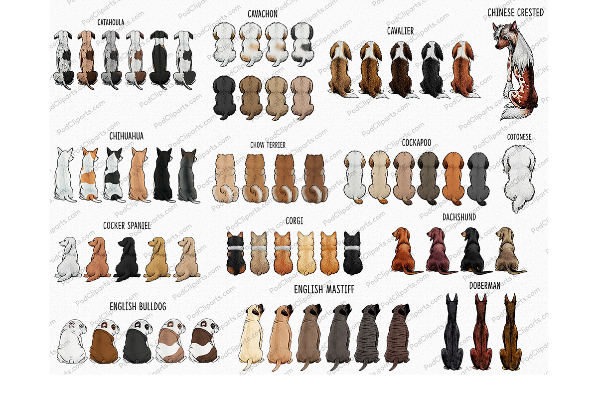 Dogs and Girl Clipart PNG, sitting, a Person Illustration by Podcliparts (Photo 5 of 10)