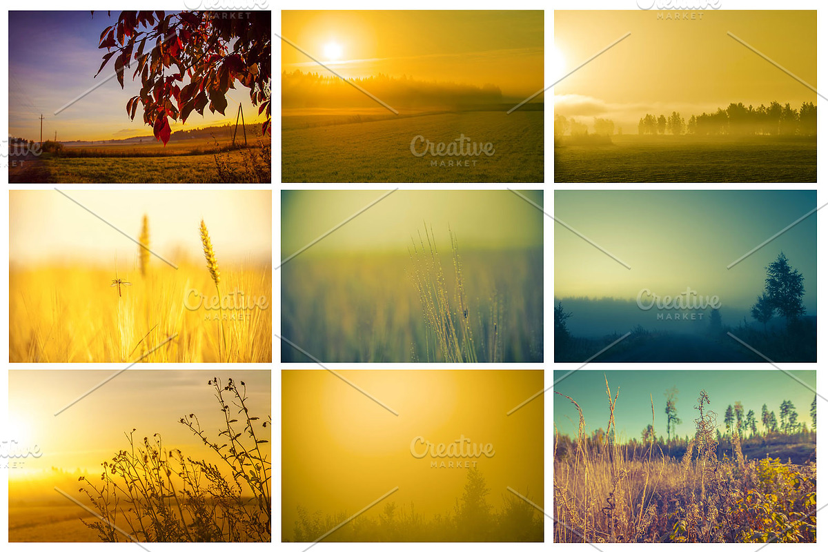 30 Vibrant Nature Backgrounds Bundle, a Templates & Theme by Mikko Lemola