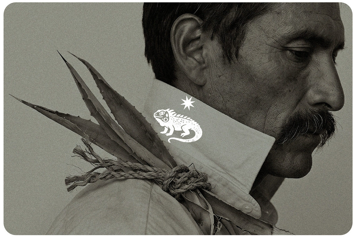 Agave & Tequila Vintage Vectors, an Object Graphic by Craftrick (Photo 4 of 9)