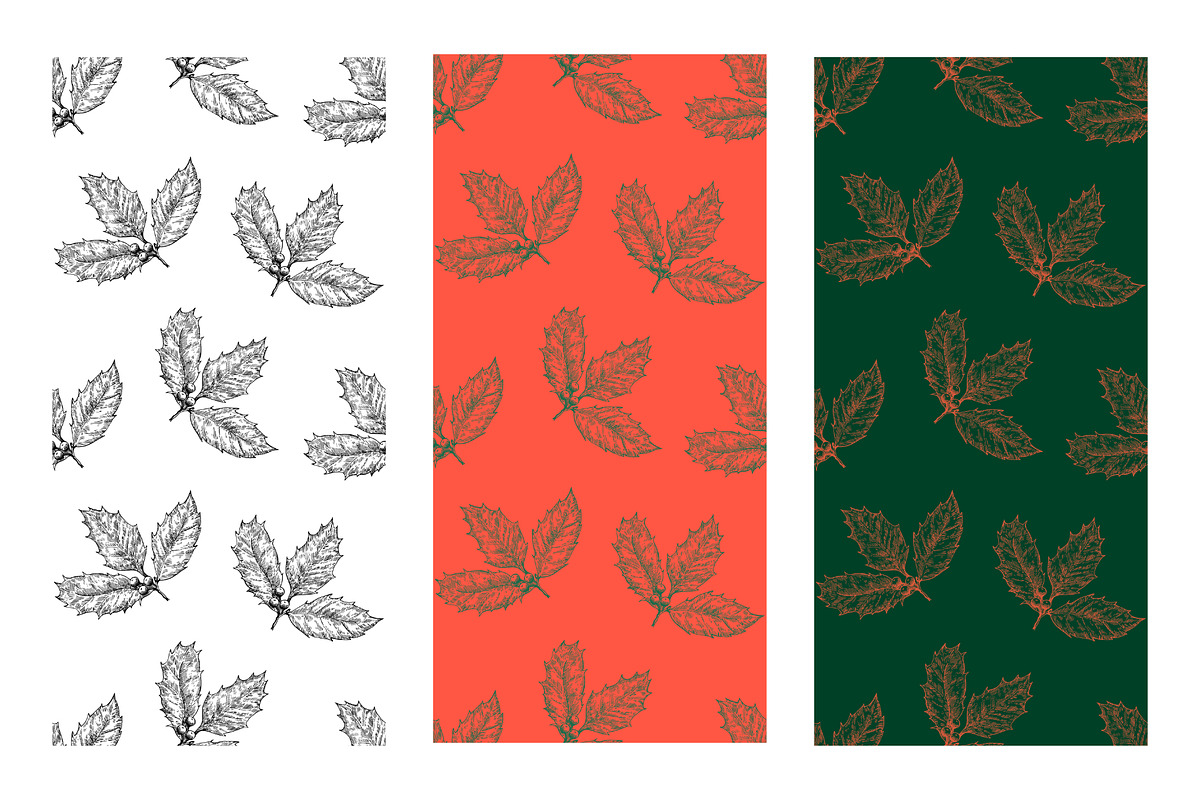 Winter botanical patterns, a Seasonal Illustration by Robusta (Photo 3 of 8)