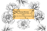 Peony Blooms, an Object Graphic by VictoriaKStudio (Thumbnail 1 of 5)