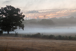 Misty Morning Landscape on the Camino Primitivo, Galicia, Spain