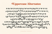 Canastra - Retro Serif, a Serif Font by Ivan Rosenberg (Thumbnail 20 of 23)