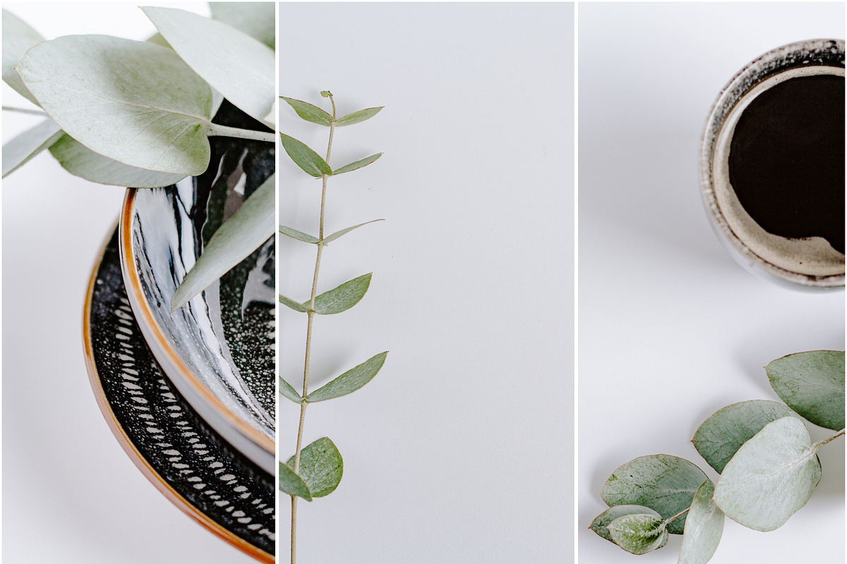 Eucalyptus Bundle, a Product Mockup by Peppermint &Tea (Photo 8 of 8)