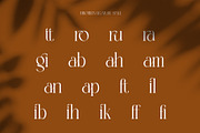 Brotilen Elegant Ligature Serif, a Serif Font by Alfinart (Thumbnail 10 of 10)