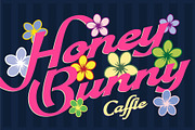 Caffle - Expresive Display Font, a Script Font by StoricType (Thumbnail 11 of 15)