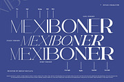 Galdertin Charetam | 141 Font Style, a Serif Font by IM Studio (Thumbnail 4 of 12)