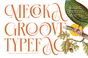 Mecoka Groove Elegant Serif Font, a Serif Font by timelesstype.co (Thumbnail 1 of 20)