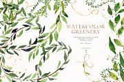 Greenery, foliage & climbing plants, an Illustration by Pamyatka Shop (Thumbnail 4 of 6)