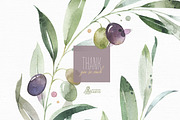 Olives. Watercolor Collection, a Decorative Illustration by OctopusArtis (Thumbnail 16 of 17)