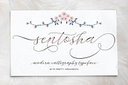 Sentosha Script, a Script Font by Areatype (Thumbnail 1 of 8)