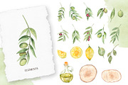 Watercolor Olive Collection, a Decorative Illustration by MayaNavits (Thumbnail 2 of 10)