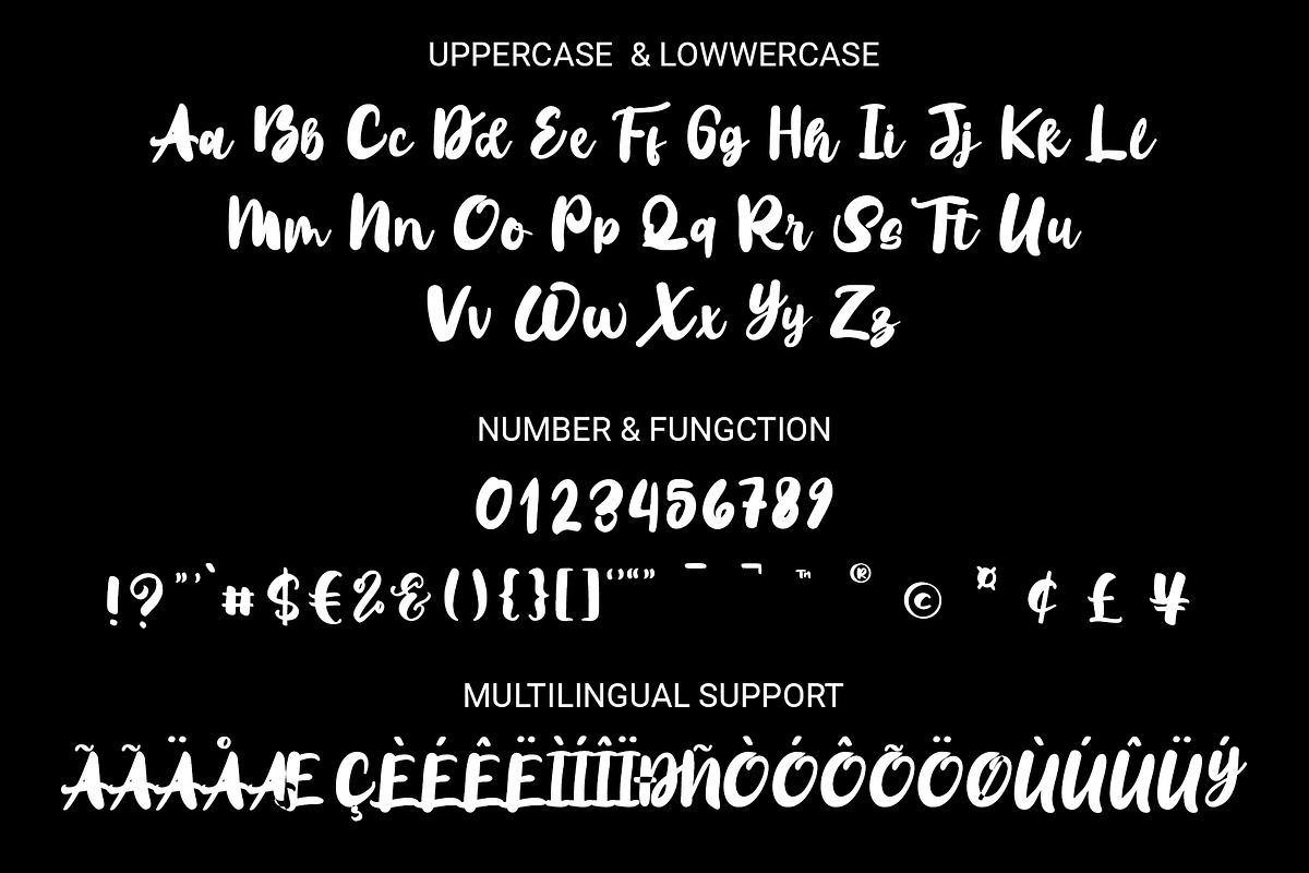 Warenthuis - Brush Handwritten Font, a Font by RHD Creative Studio (Photo 10 of 10)