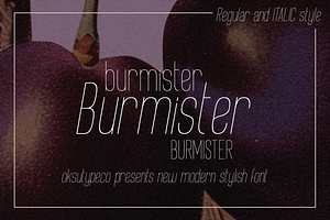 Burmister, a Sans Serif Font by Alexander Tiunov