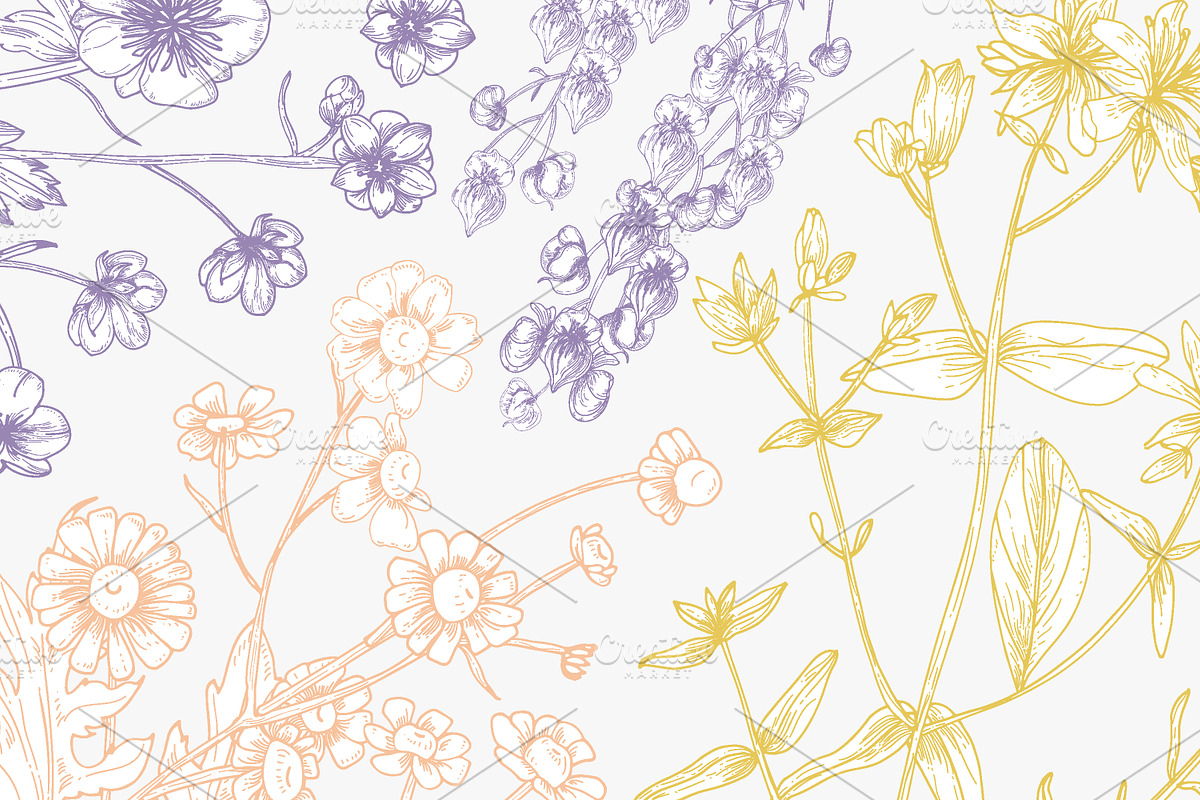 Wild flowers,herbs,herbaceous plants, a Texture Illustration by Good Studio (Photo 12 of 22)