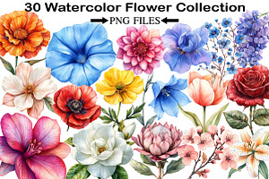 Watercolor Flower Collection Clipart, an Illustration by Black Bird Studio