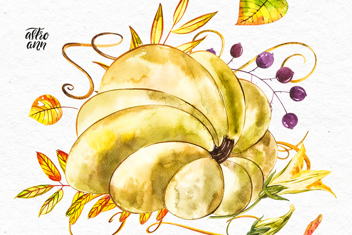 Pumpkins watercolor collection, a Food Illustration by Ann Astro (Photo 17 of 17)