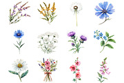 Wildflower Watercolor Clipart Bundle, an Illustration by DreamCafeArt (Thumbnail 4 of 5)