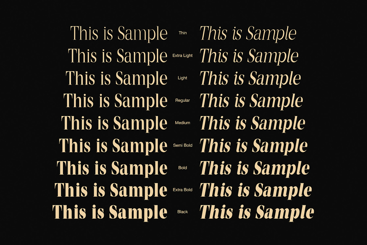 Mentoz Elegant Serif Font Family, a Serif Font by Graphicxell (Photo 2 of 10)