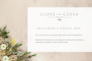 Pink Background with Floral Photo, a Photo by Clove and Cedar Design (Thumbnail 2 of 2)