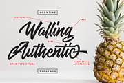 Alentine Typeface 2 Font, a Script Font by Blankids Studio (Thumbnail 7 of 9)