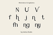 Danyelle Elegant Modern Sans Font, a Sans Serif Font by Vadovastd (Thumbnail 5 of 8)