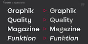 BF Garant Pro, a Sans Serif Font by BrassFonts (Thumbnail 7 of 12)