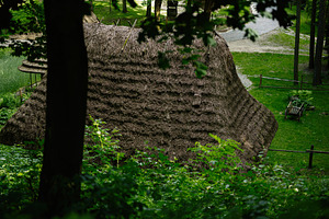 Traditional thatched hut surrounded by lush greenery in a serene forest setting, a Photo by AS photostudio