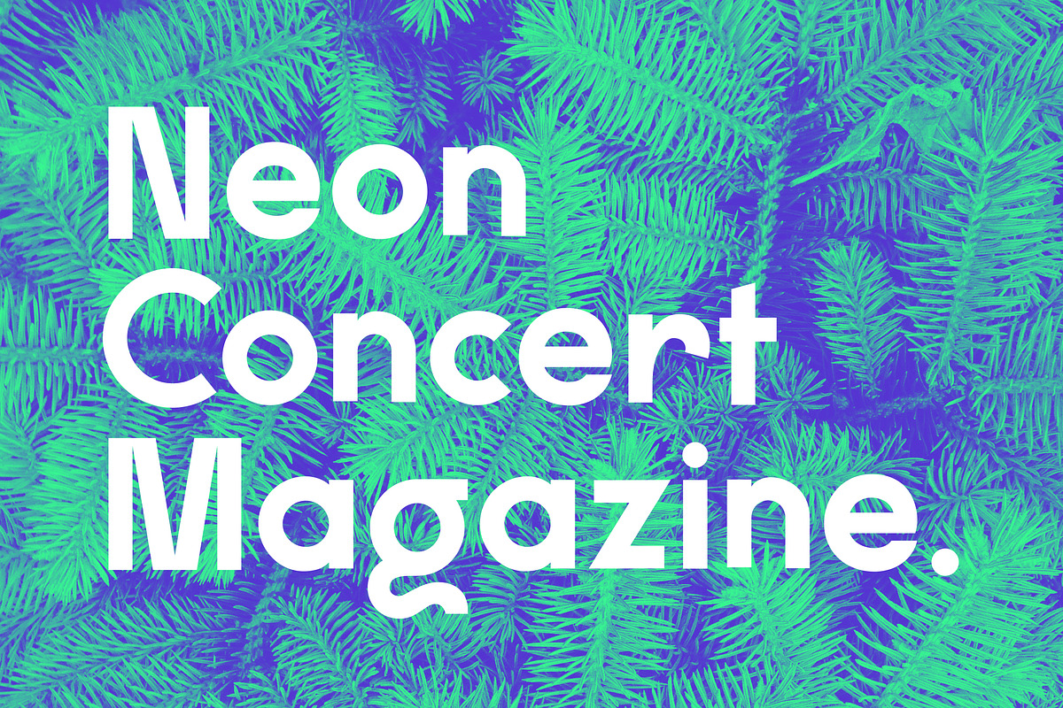 Maximo Nexa, a Sans Serif Font by Kaligra.co (Photo 3 of 15)