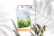 Botanical garden with green plants, a Person Illustration by Good Studio (Thumbnail 6 of 13)