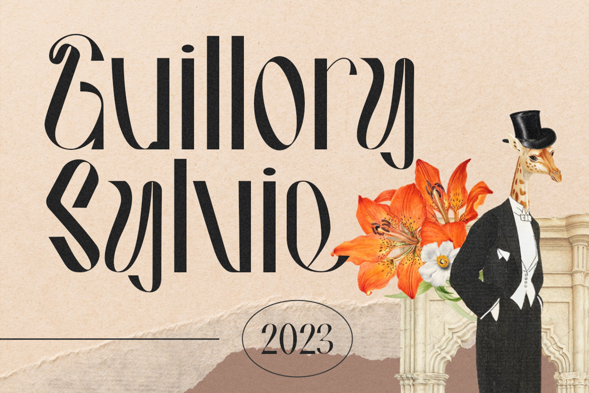 Hausser Modern Display, a Font by Creatype Studio (Photo 5 of 11)