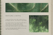 Understory Organic Backgrounds, a Background Graphic by alonahaidash (Thumbnail 9 of 15)