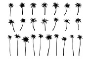 Large set of palm trees. 52 designs., a Decorative Illustration by VetaDesign (Thumbnail 4 of 4)