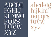 Gorgone - A Versatile Serif, a Serif Font by Letterhend Studio (Thumbnail 9 of 9)