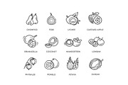 Fruits, Exotic Fruits icons, a Food Illustration by Tettygreen (Thumbnail 3 of 3)