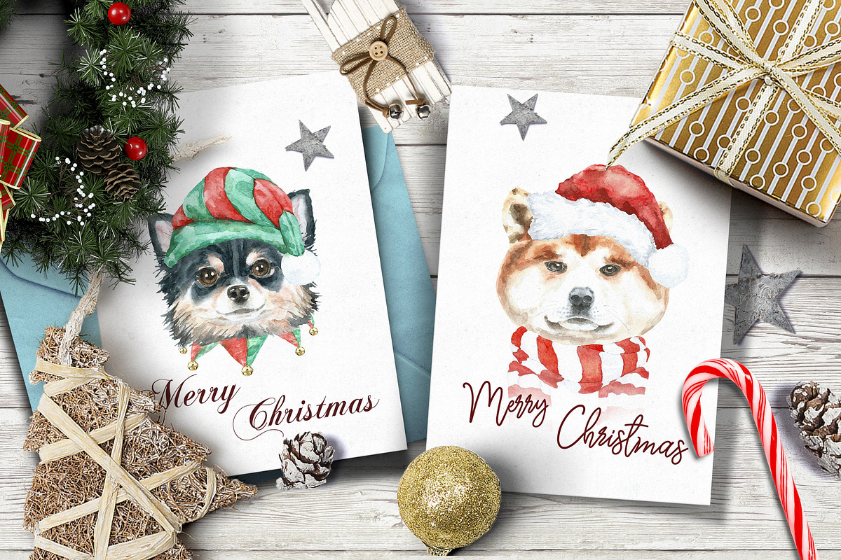 Christmas Character Dogs & Cats, an Animal Illustration by Catherine Wheel (Photo 7 of 23)