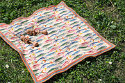 Sardine Social Club, a Pattern Graphic by MSNTY STUDIOX (Thumbnail 19 of 30)