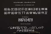 Outline Stocking, a Serif Font by FreshTypeINK (Thumbnail 4 of 7)