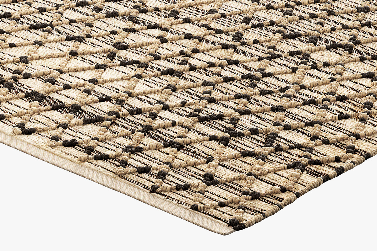 Joybird Demi Rug, a Furniture 3D Model by 3dmitruk (Photo 1 of 15)