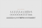 Gealova Modern Serif Font, a Serif Font by Storytype Studio (Thumbnail 14 of 15)