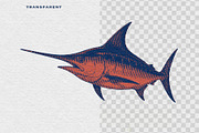 Vintage Fish Engraving, an Animal Illustration by Kaizla03 (Thumbnail 4 of 7)